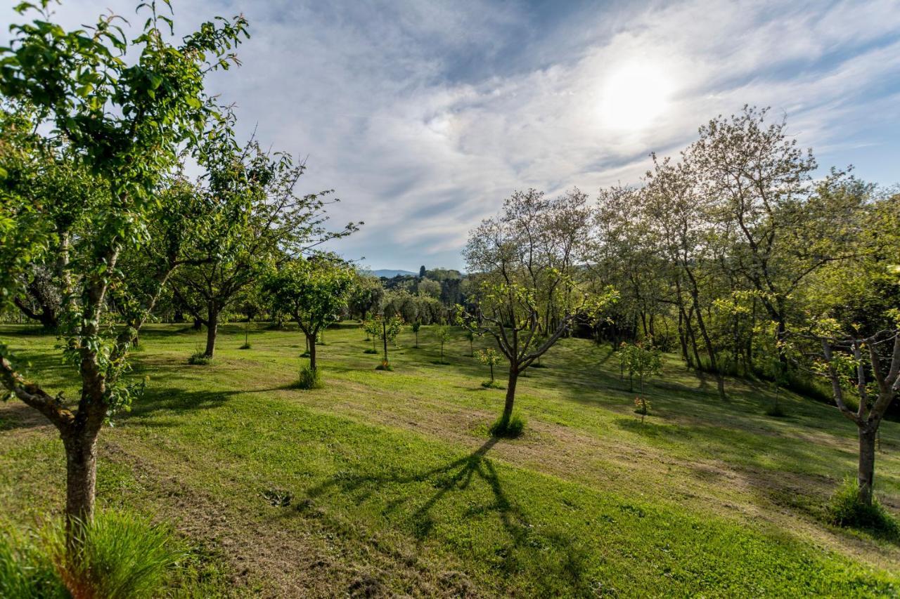 Podere Sant'Antonio Fauglia Eksteriør bilde