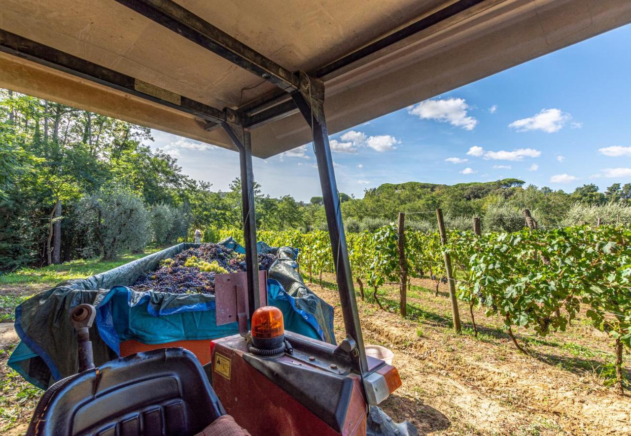 Podere Sant'Antonio Fauglia Eksteriør bilde