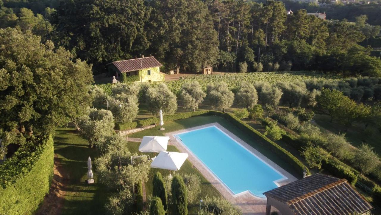 Podere Sant'Antonio Fauglia Eksteriør bilde