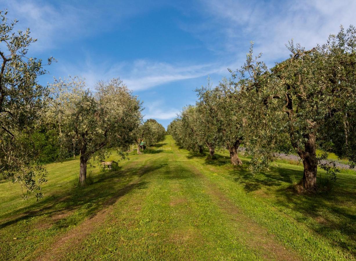 Podere Sant'Antonio Fauglia Eksteriør bilde