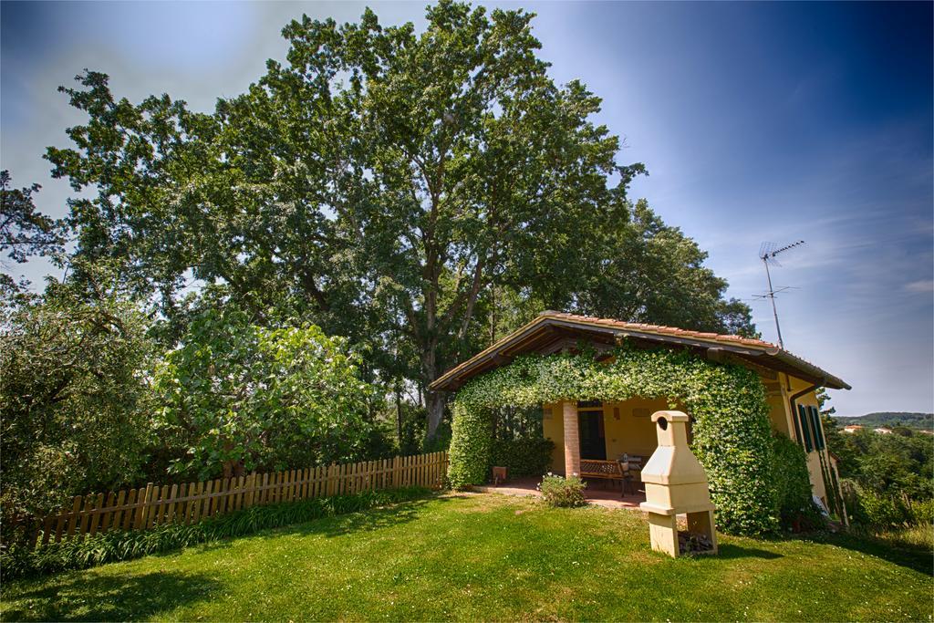 Podere Sant'Antonio Fauglia Eksteriør bilde