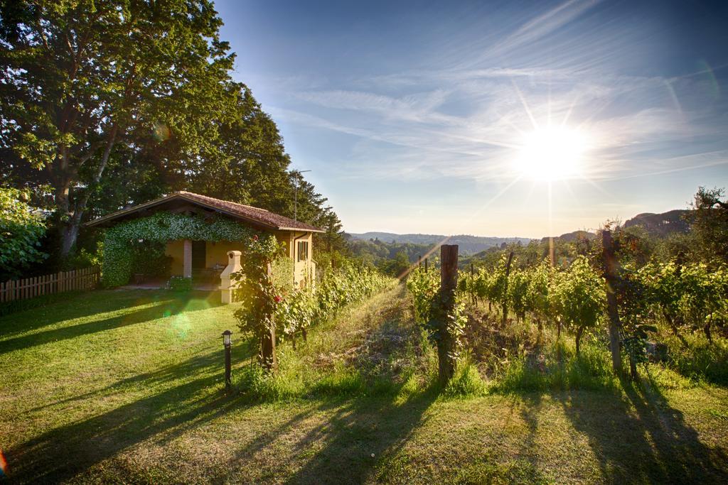 Podere Sant'Antonio Fauglia Eksteriør bilde