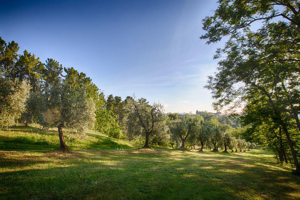 Podere Sant'Antonio Fauglia Eksteriør bilde